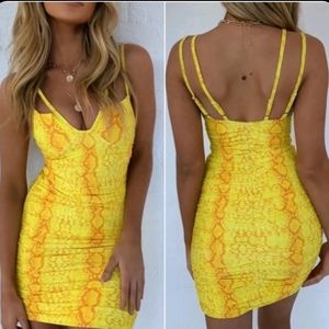 Tiger mist zurich dress